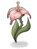 Flor Selvagem