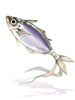 Amuleto Sardinha III