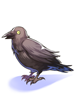 Corvo Fofoqueiro