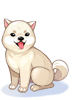 Doge Branquinho
